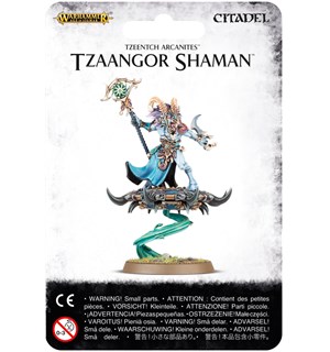 Tzeentch Arcanites Tzaangor Shaman Warhammer Age of Sigmar 